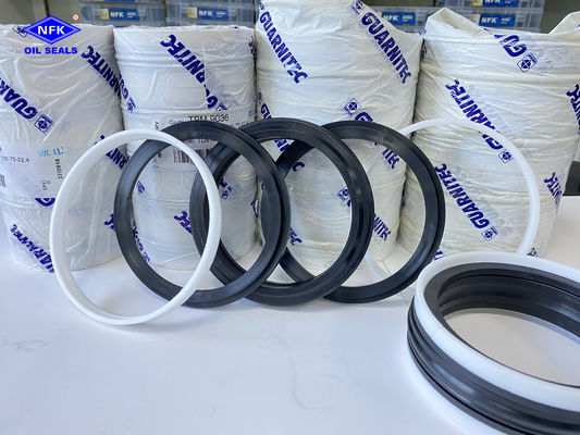 TPM NBR Combination Oil Seal